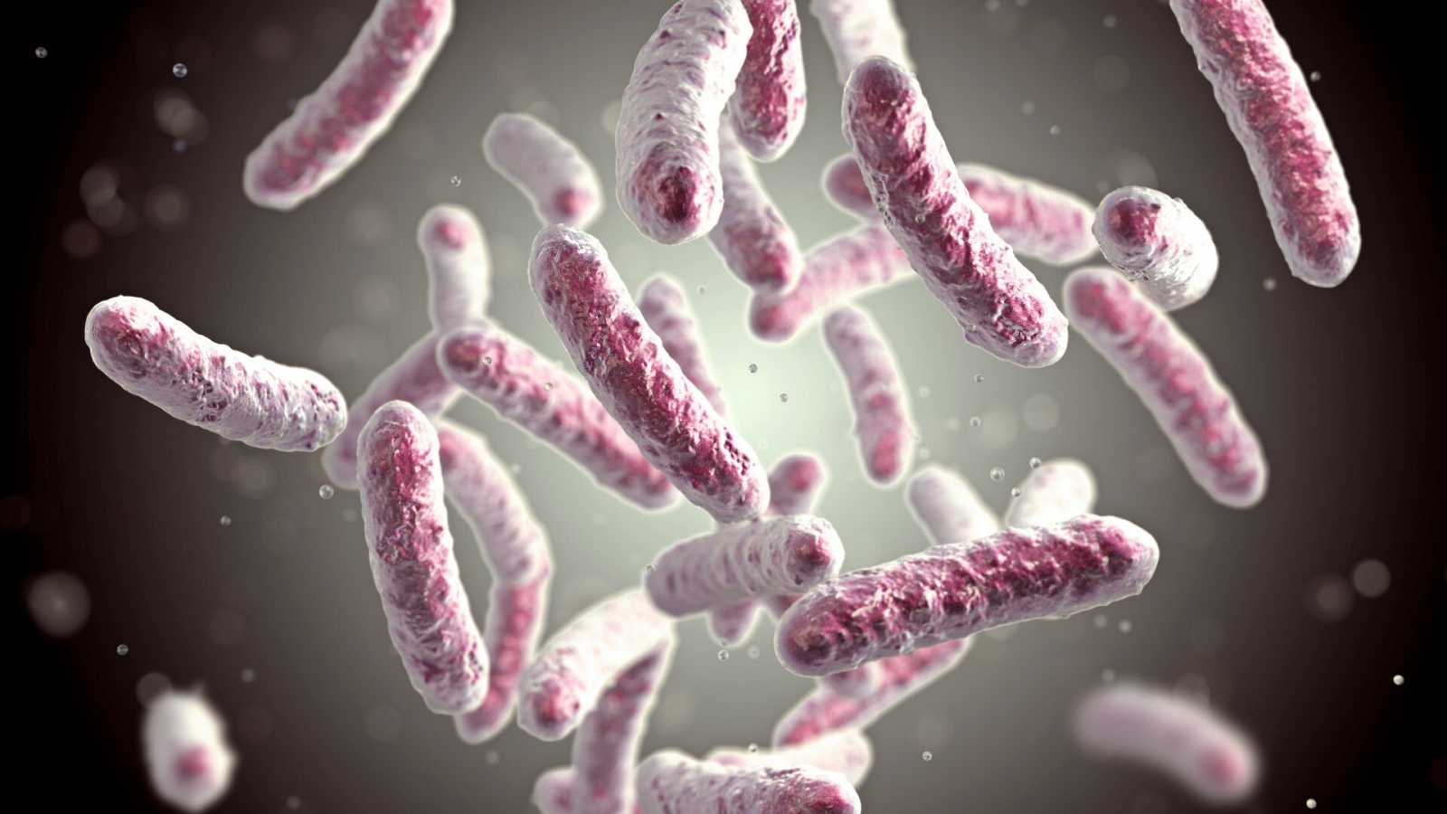 bacteria legionella RTVE